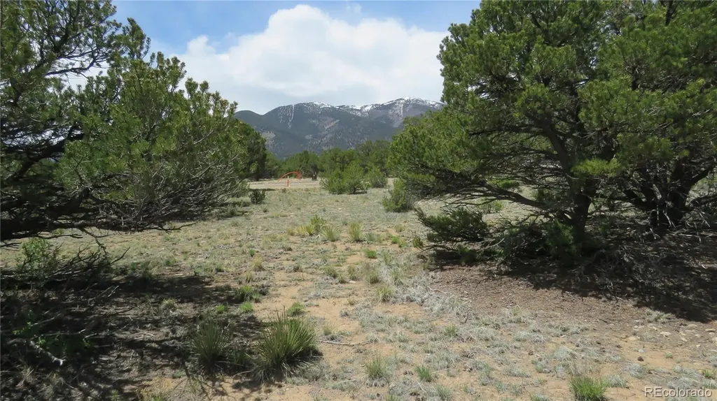 28924 Timber Ridge Buena Vista CO 81211