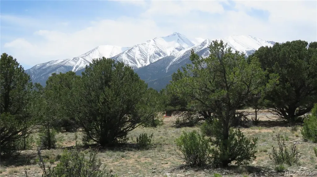 28924 Timber Ridge Buena Vista CO 81211