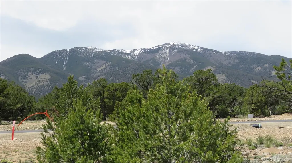 28924 Timber Ridge Buena Vista CO 81211