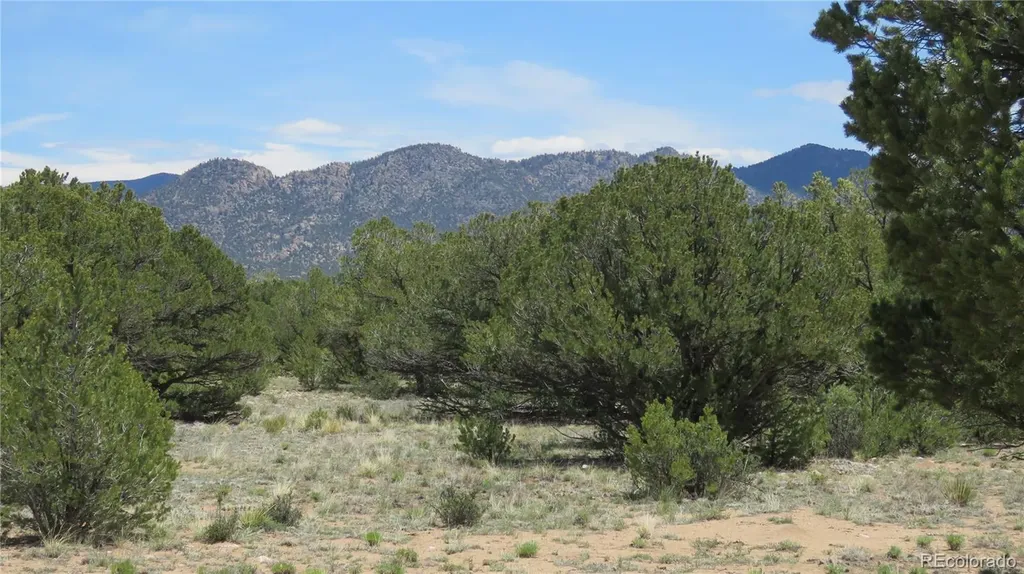 28924 Timber Ridge Buena Vista CO 81211