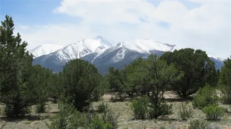 28924 Timber Ridge Buena Vista CO 81211