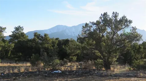 28924 Timber Ridge Buena Vista CO 81211