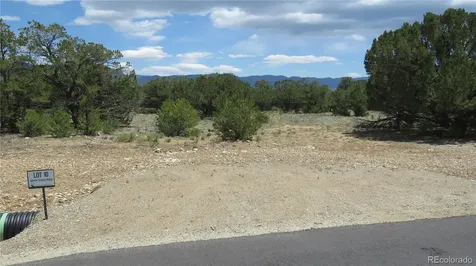 28924 Timber Ridge Buena Vista CO 81211