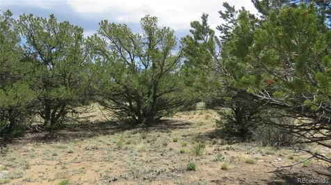 28924 Timber Ridge Buena Vista CO 81211
