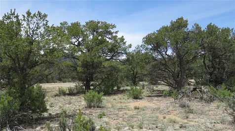 28924 Timber Ridge Buena Vista CO 81211