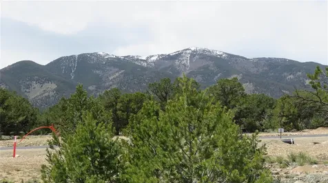 28924 Timber Ridge Buena Vista CO 81211