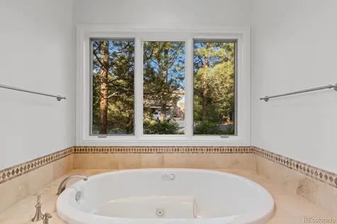 645 Ruby Trust Way Castle Rock CO 80108