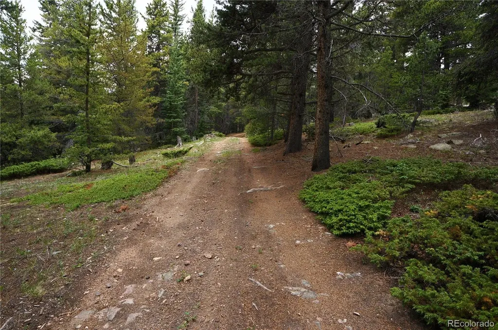 00 Lamartine Road Idaho Springs CO 80452