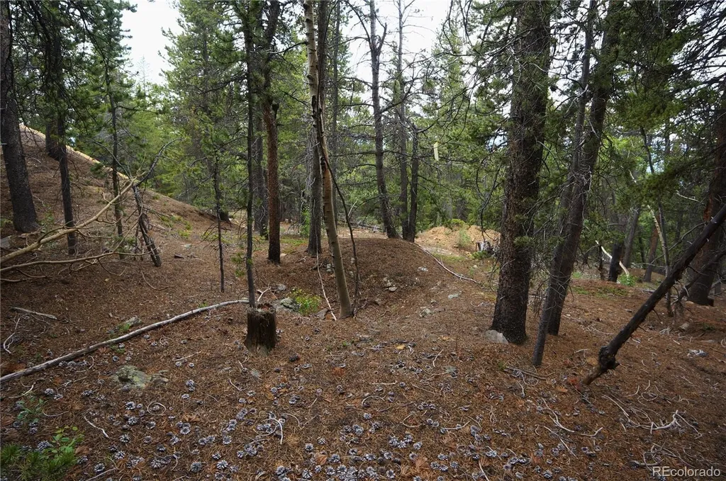 00 Lamartine Road Idaho Springs CO 80452