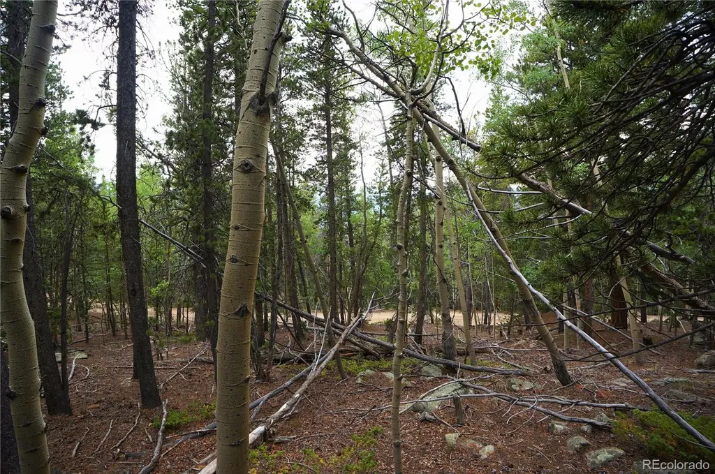 00 Lamartine Road Idaho Springs CO 80452