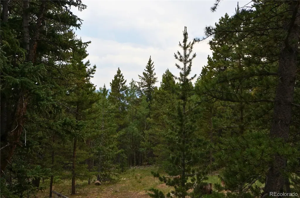 00 Lamartine Road Idaho Springs CO 80452
