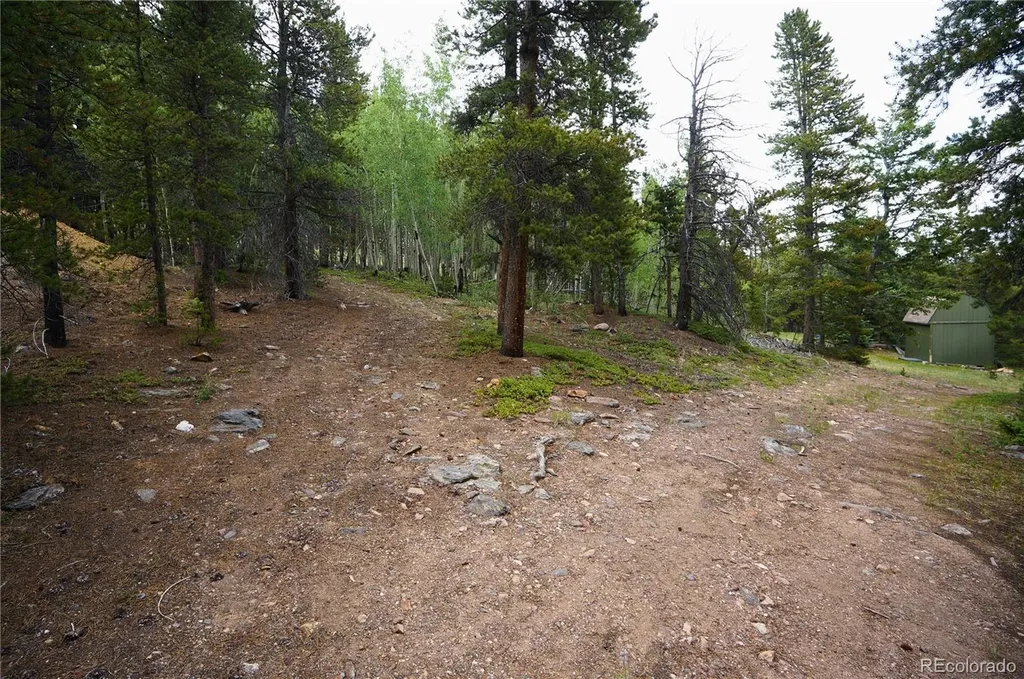 00 Lamartine Road Idaho Springs CO 80452