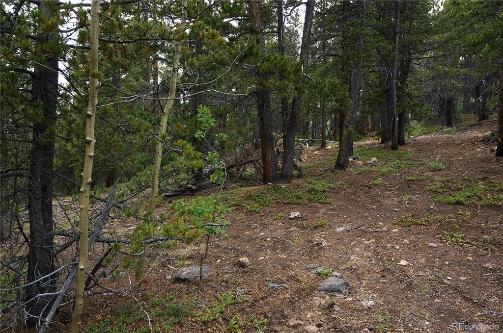 00 Lamartine Road Idaho Springs CO 80452