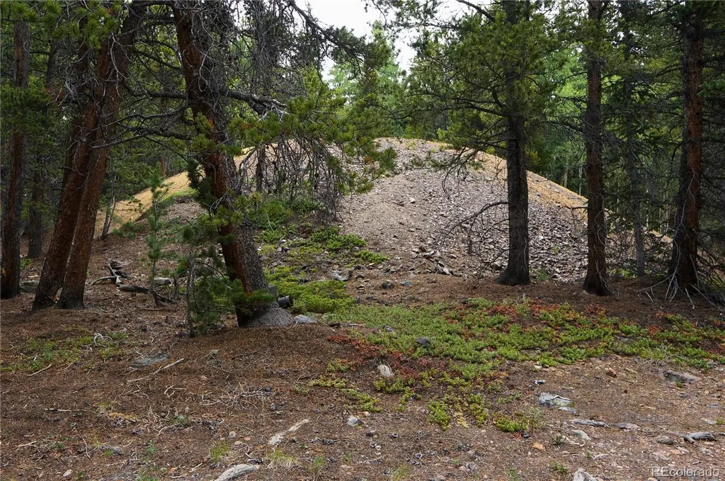 00 Lamartine Road Idaho Springs CO 80452