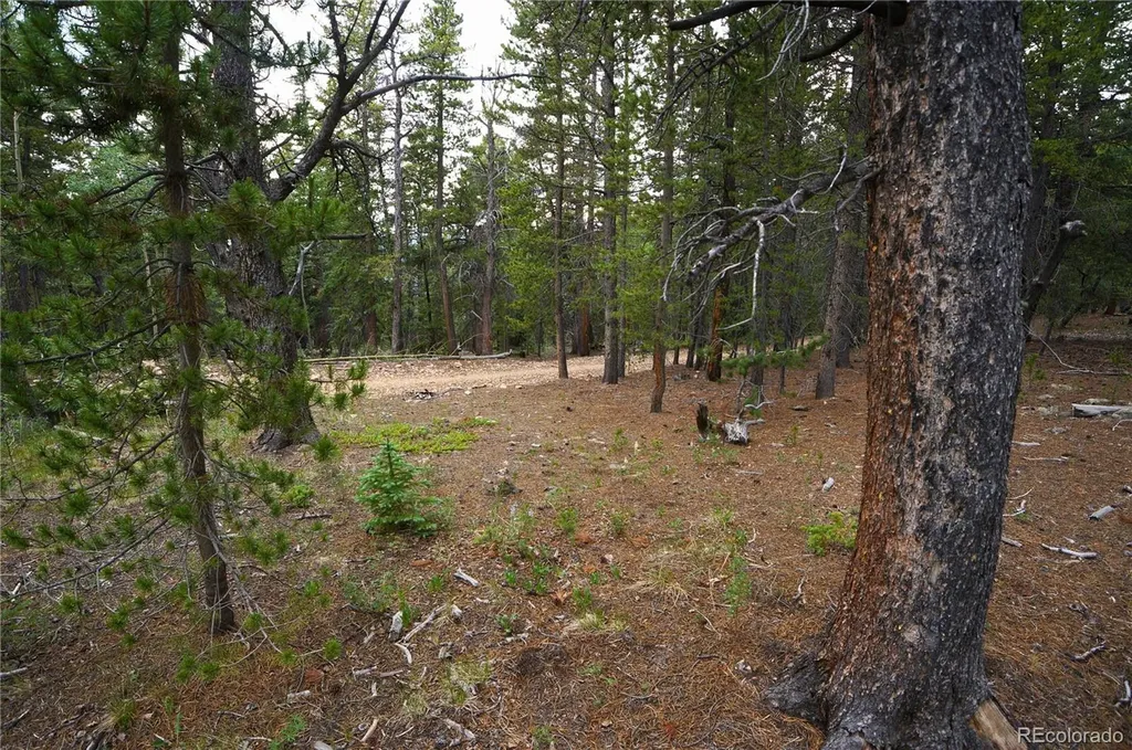 00 Lamartine Road Idaho Springs CO 80452