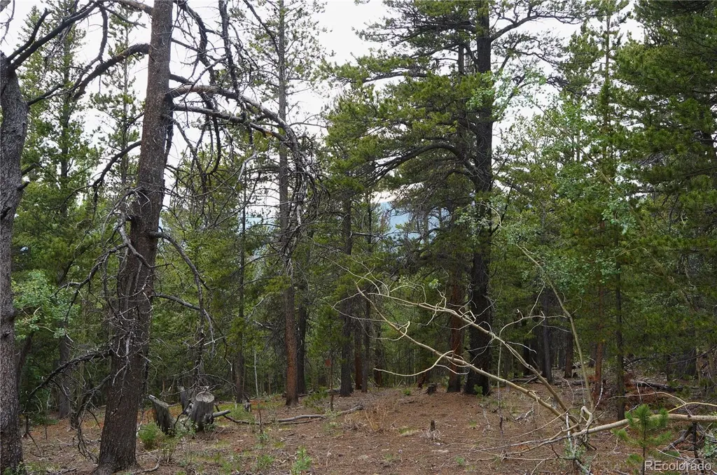 00 Lamartine Road Idaho Springs CO 80452