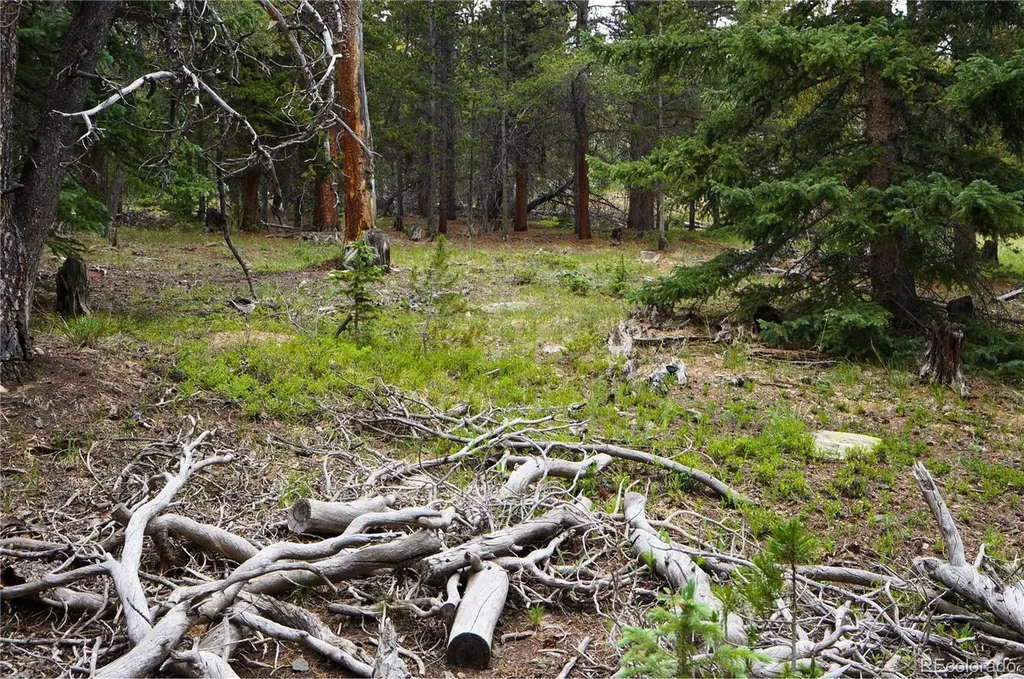 00 Lamartine Road Idaho Springs CO 80452