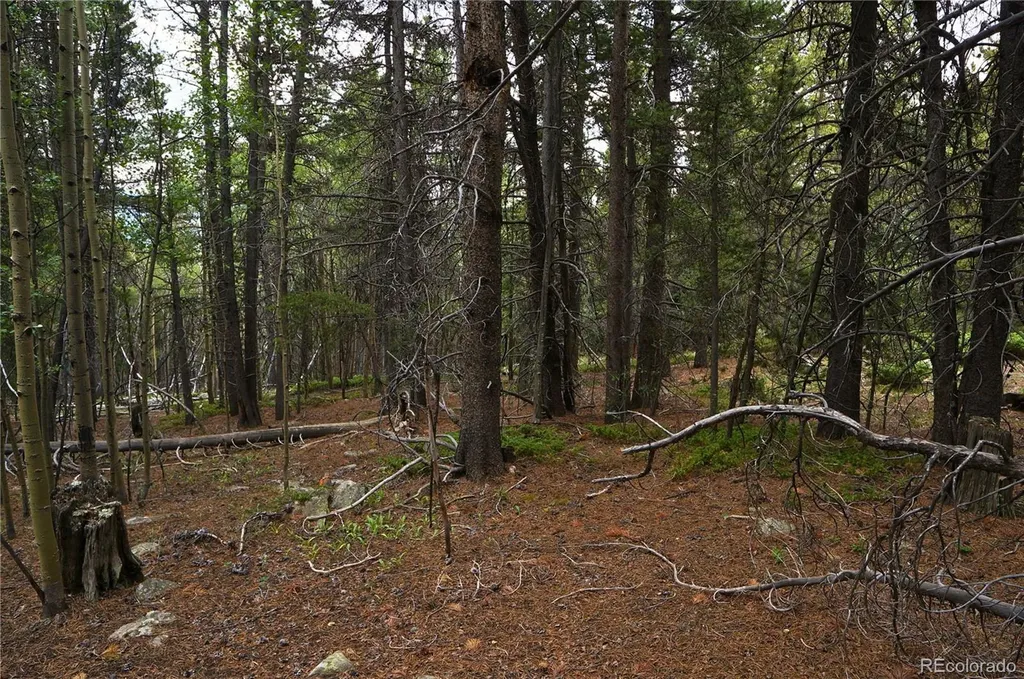 00 Lamartine Road Idaho Springs CO 80452