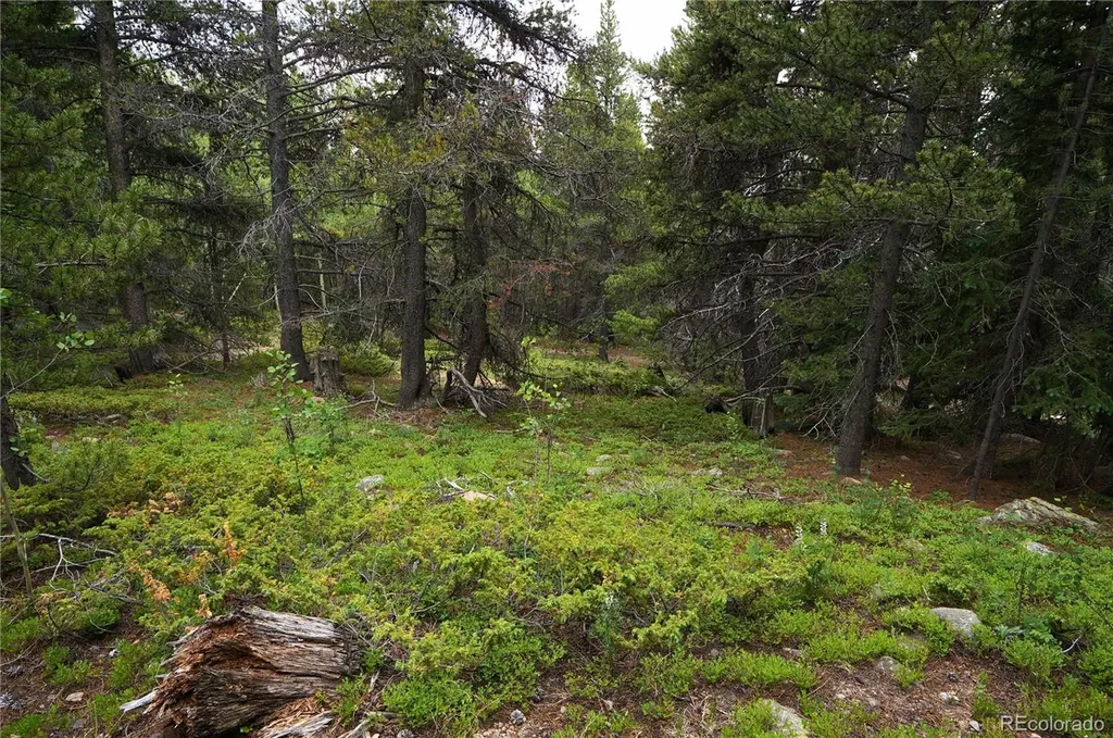 00 Lamartine Road Idaho Springs CO 80452