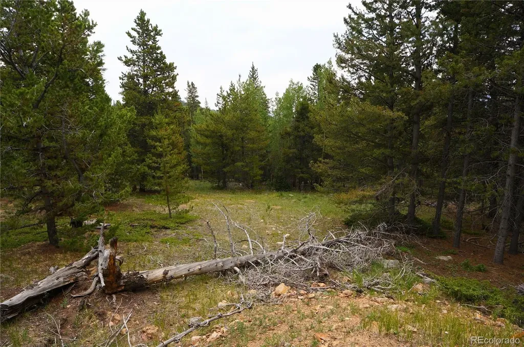 00 Lamartine Road Idaho Springs CO 80452