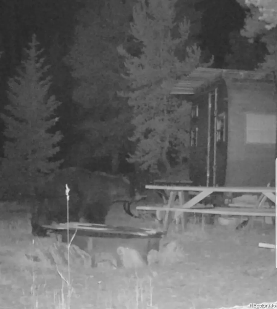00 Lamartine Road Idaho Springs CO 80452