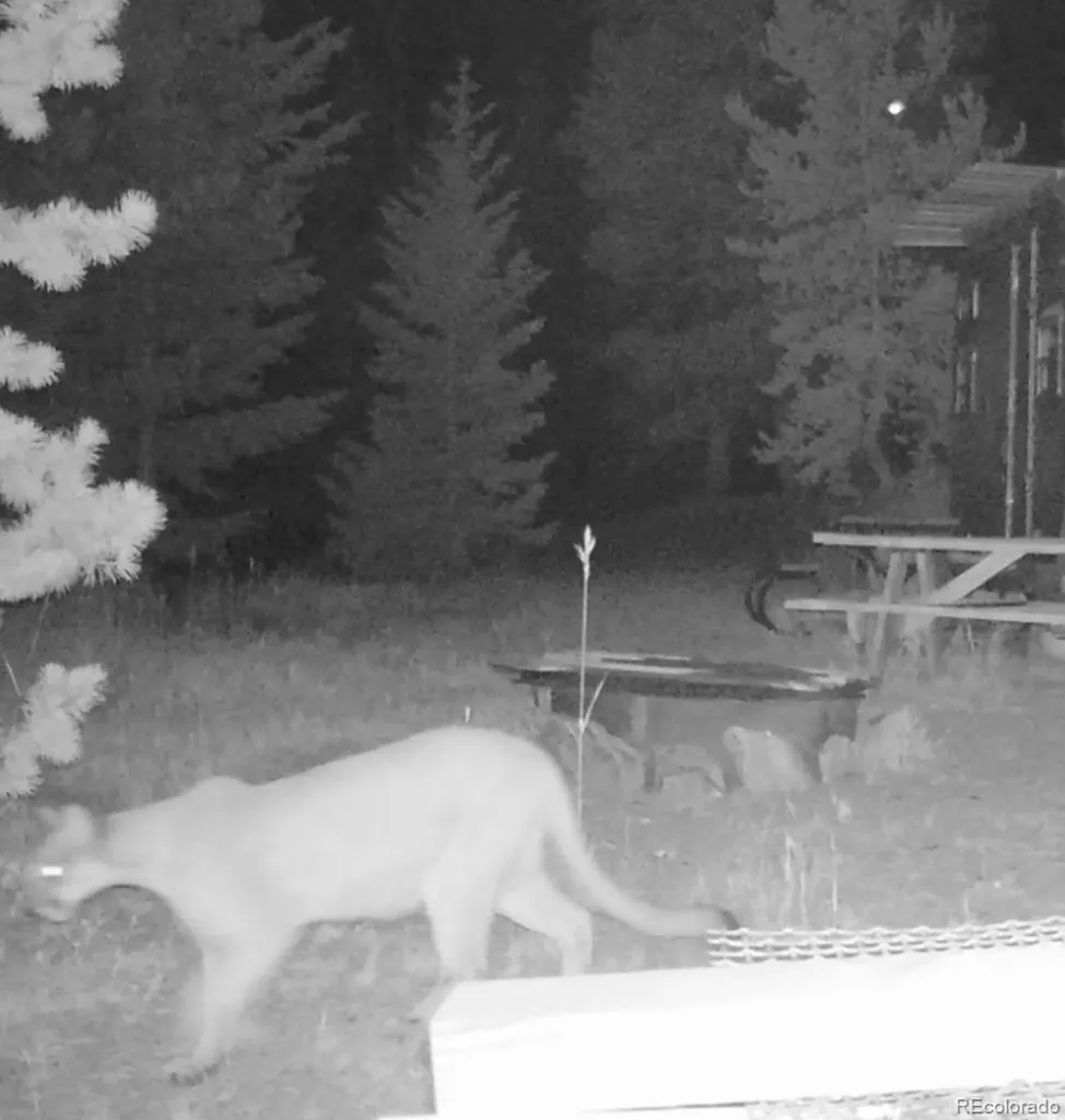 00 Lamartine Road Idaho Springs CO 80452