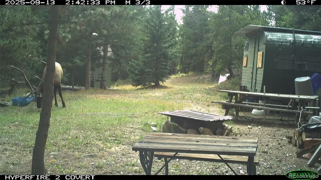 00 Lamartine Road Idaho Springs CO 80452