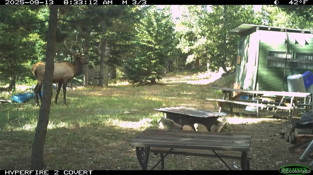00 Lamartine Road Idaho Springs CO 80452