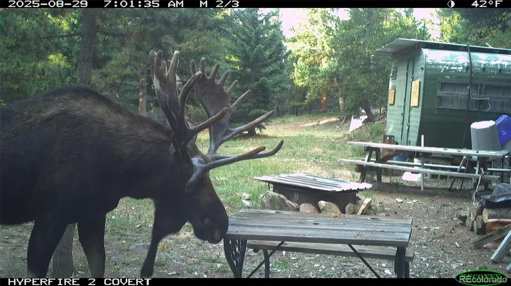 00 Lamartine Road Idaho Springs CO 80452
