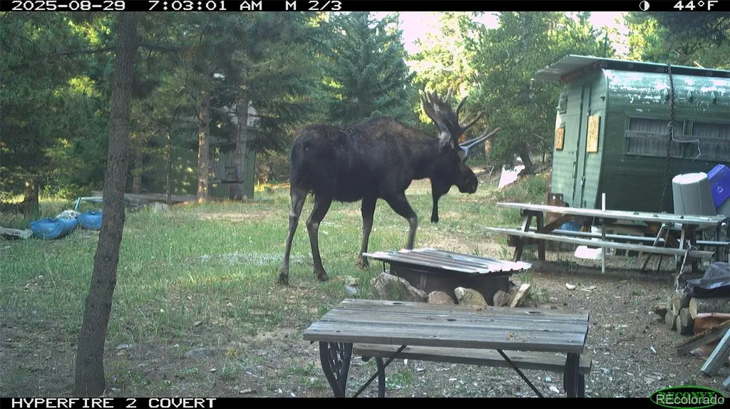 00 Lamartine Road Idaho Springs CO 80452