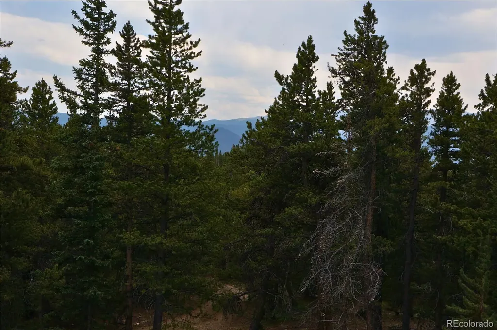 00 Lamartine Road Idaho Springs CO 80452