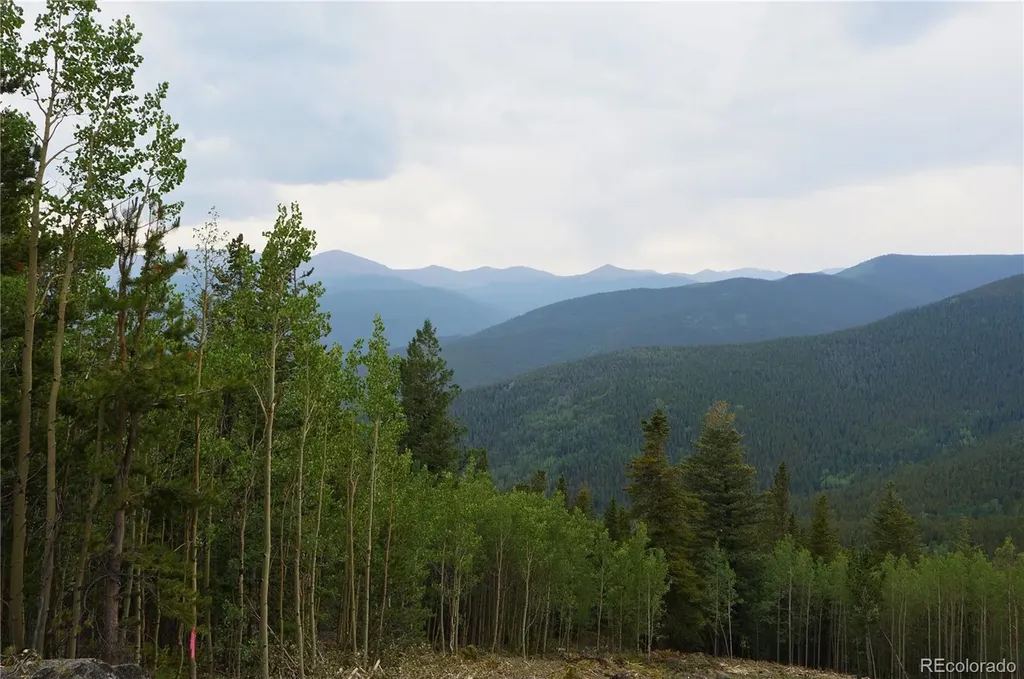 00 Lamartine Road Idaho Springs CO 80452