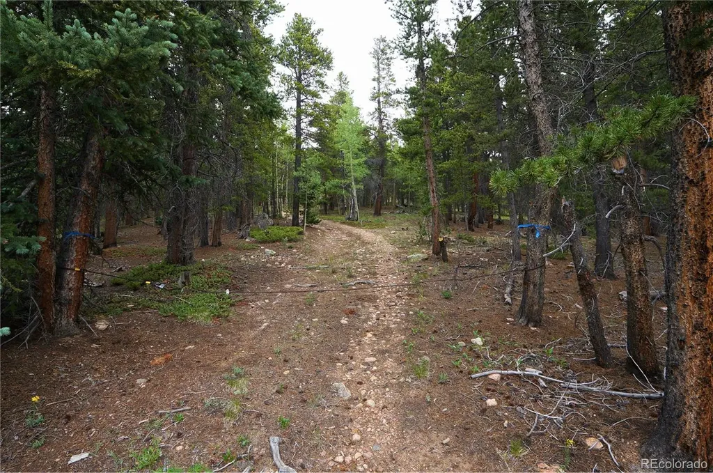 00 Lamartine Road Idaho Springs CO 80452