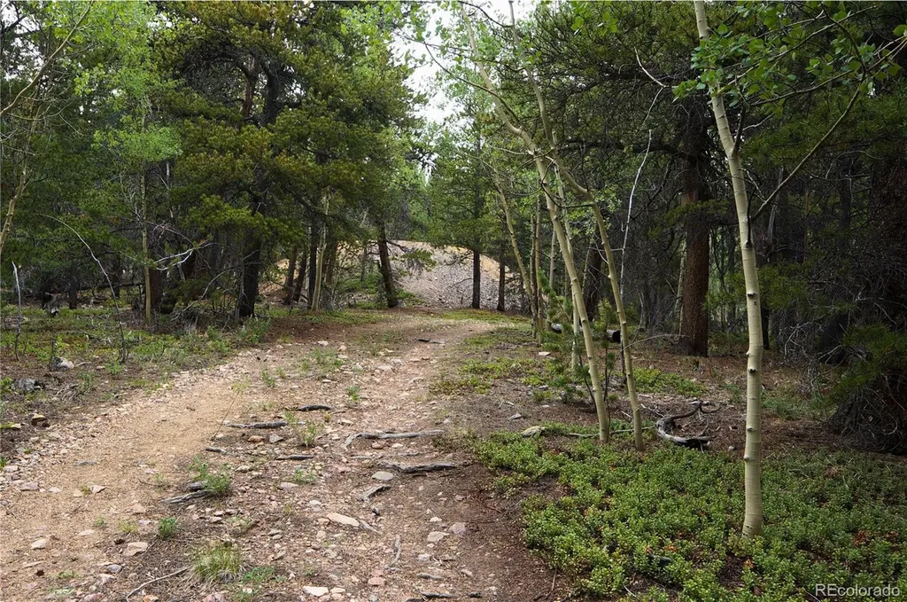 00 Lamartine Road Idaho Springs CO 80452
