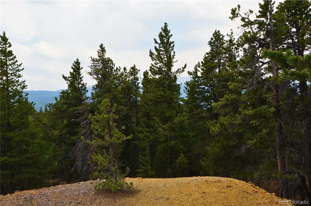 00 Lamartine Road Idaho Springs CO 80452