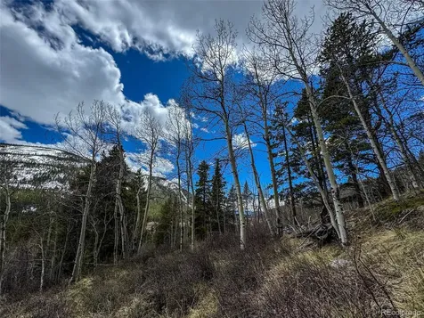 Buckeye Gulch Road Leadville CO 80461