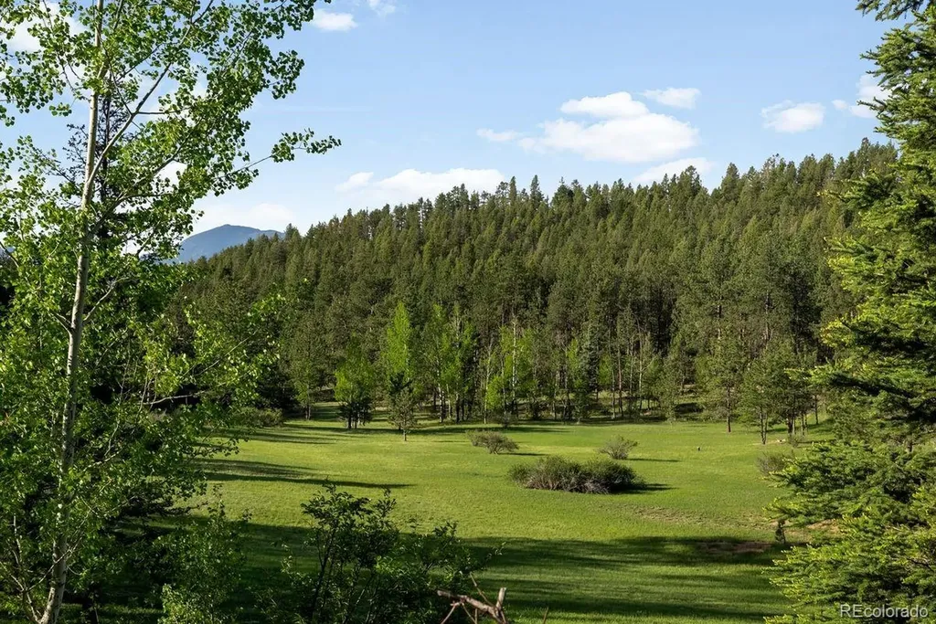 29700 S Sunset Trail Conifer CO 80433