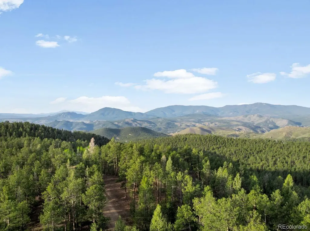 29700 S Sunset Trail Conifer CO 80433