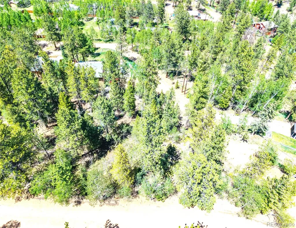 33 Smith Street Bailey CO 80421