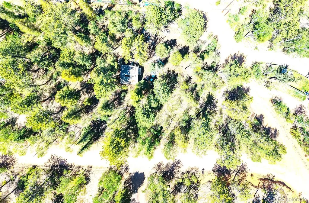 33 Smith Street Bailey CO 80421