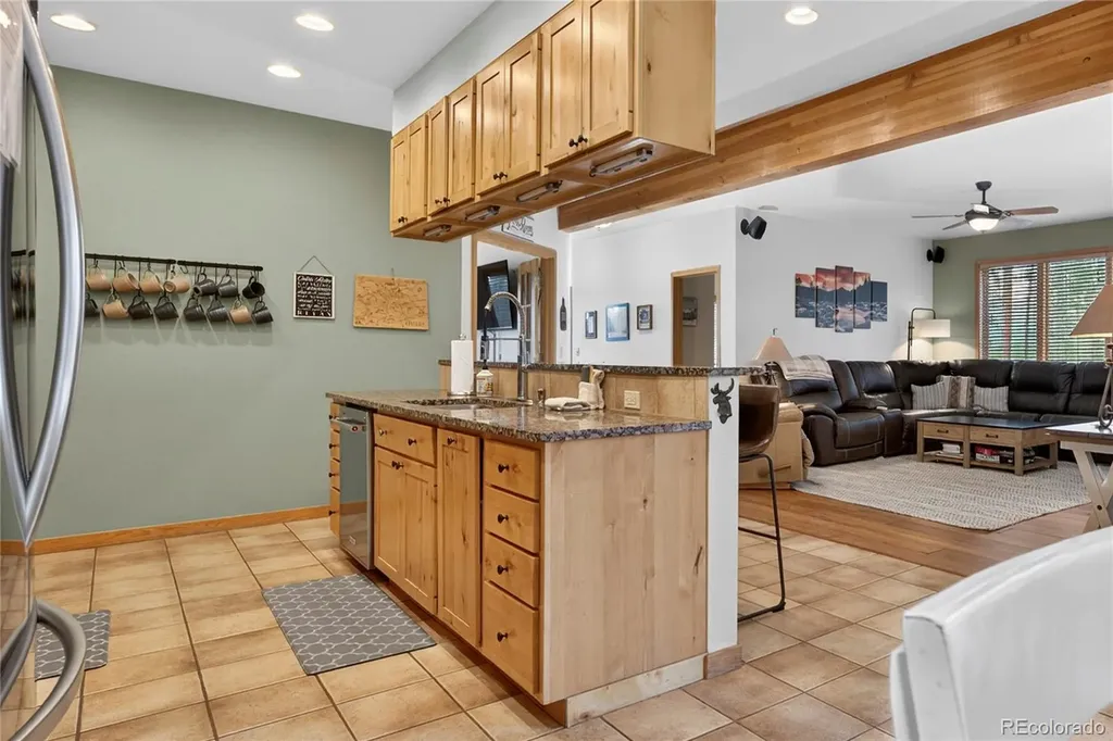 96 Cougar Avenue Fraser CO 80442