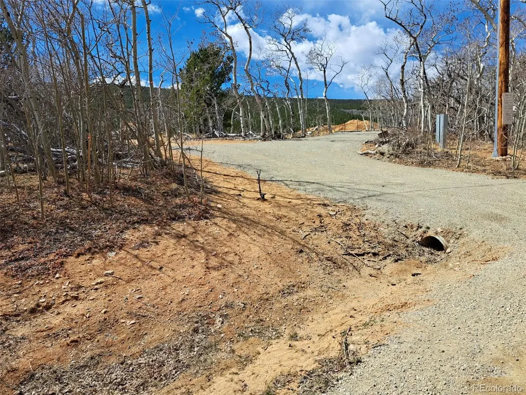 2515 High Creek Road Fairplay CO 80440
