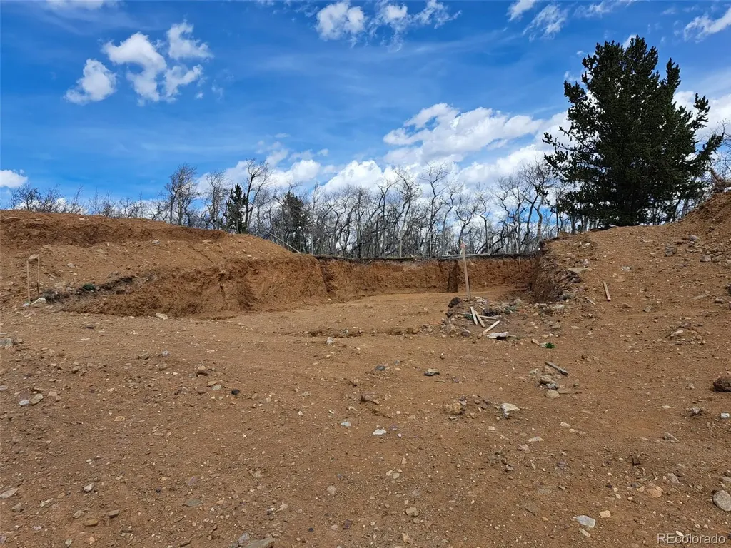 2515 High Creek Road Fairplay CO 80440