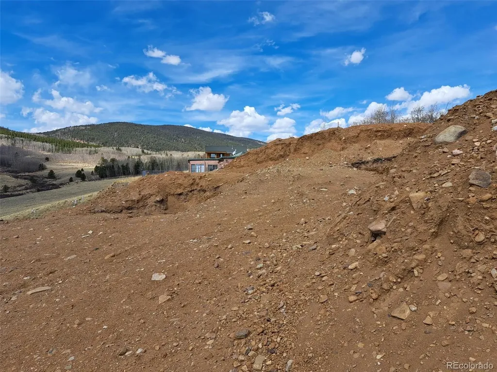 2515 High Creek Road Fairplay CO 80440
