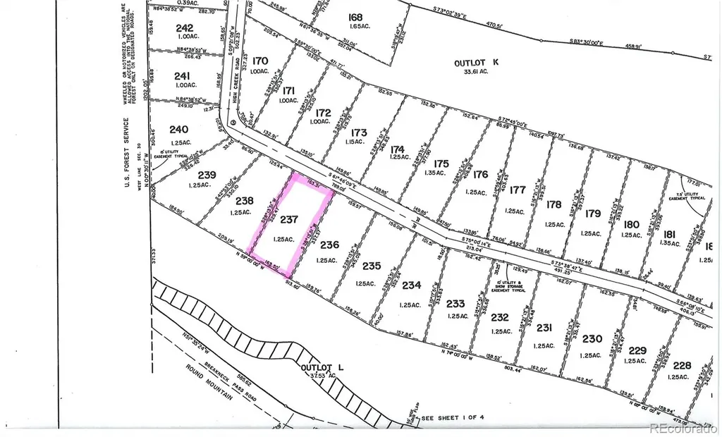 2515 High Creek Road Fairplay CO 80440