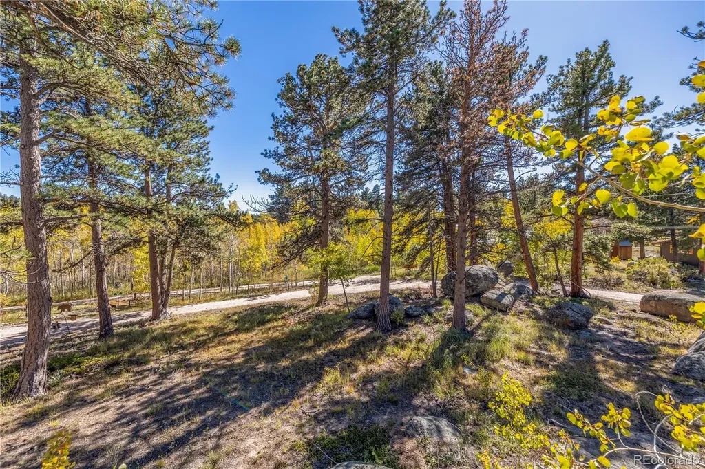 Lot 5a & 5b Red Feather Lakes CO 80545