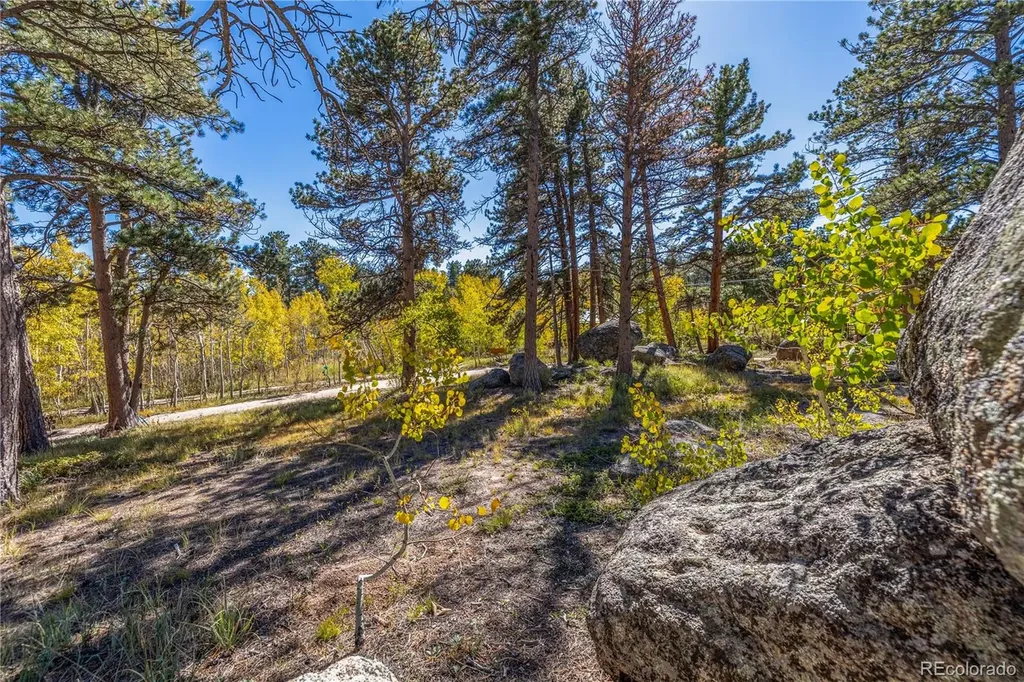 Lot 5a & 5b Red Feather Lakes CO 80545