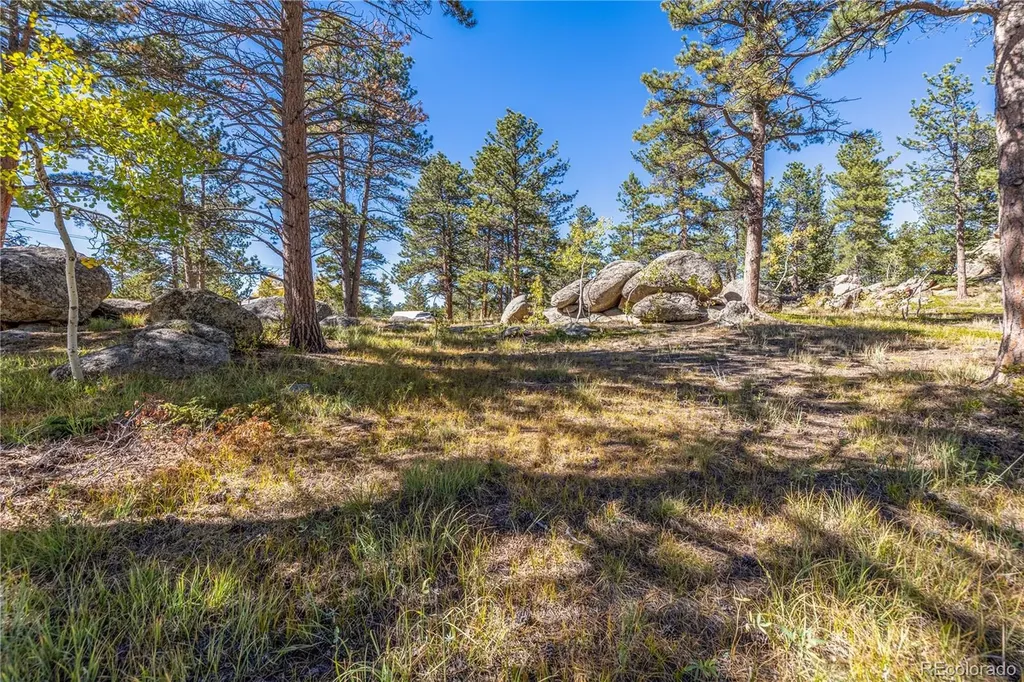 Lot 5a & 5b Red Feather Lakes CO 80545