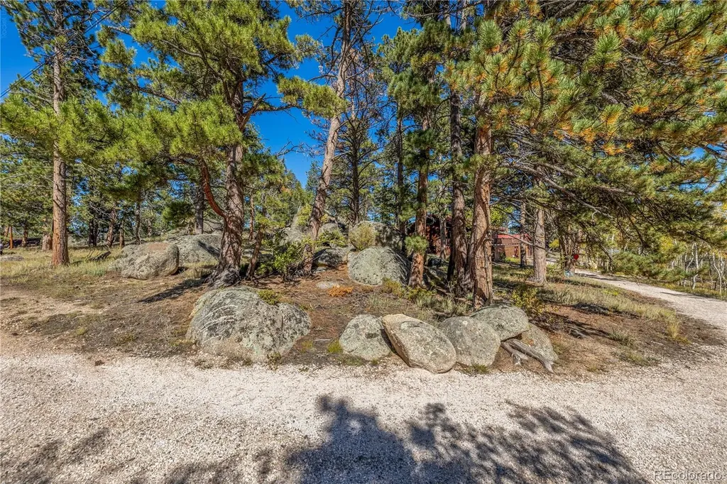 Lot 5a & 5b Red Feather Lakes CO 80545