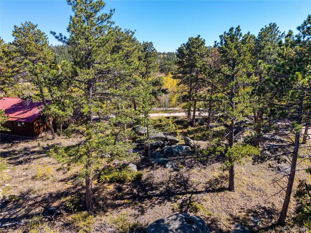 Lot 5a & 5b Red Feather Lakes CO 80545